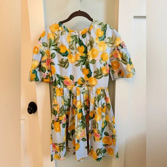 Cara Cara Carla Dress Country Air Lemon Citrus pattern sz 2 - Picture 2 of 4